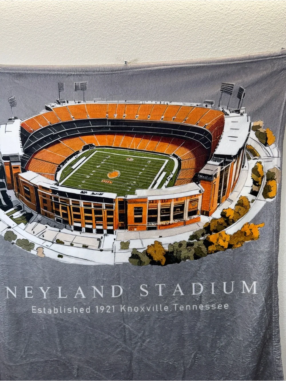 Source Unknown Gray & Orange Neyland Stadium Wall Throw